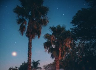 Kaliteli Sinema Keyfi: HD Film İzleme Rehberi hdfilmizle7.com2