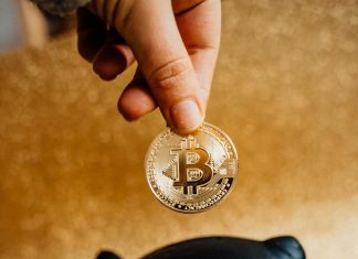 Kripto Para Pazarında Gelecek: Pitbull Coin, Komisyon Oranları ve Kullanım Alanları cryptohaber.com2