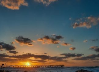 Gazelin Anlamı, Özellikleri ve Edebiyat Tarihindeki Yeri ghazal meaning